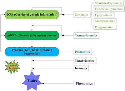 Applications of Multi-Omics Technologies for Crop Improvement